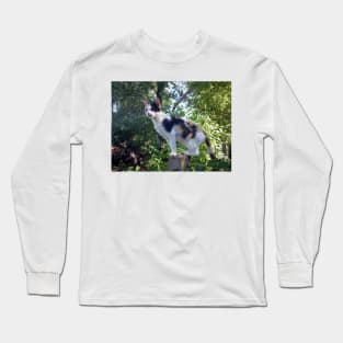 Lagertha cat on watch Long Sleeve T-Shirt